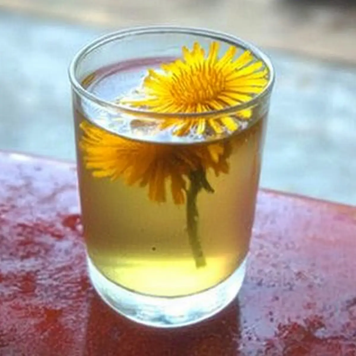 Dandelion Iced Tea